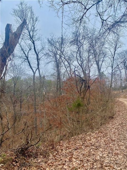 TBD Rancho Vista Ln, Eureka Springs, AR, 72631 | Card Image