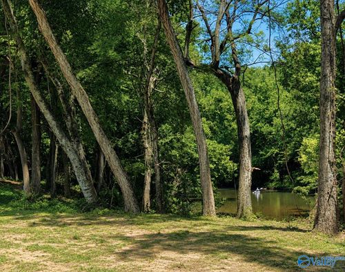 Lot 35 County Road 336, Piedmont, AL, 36272 | Card Image