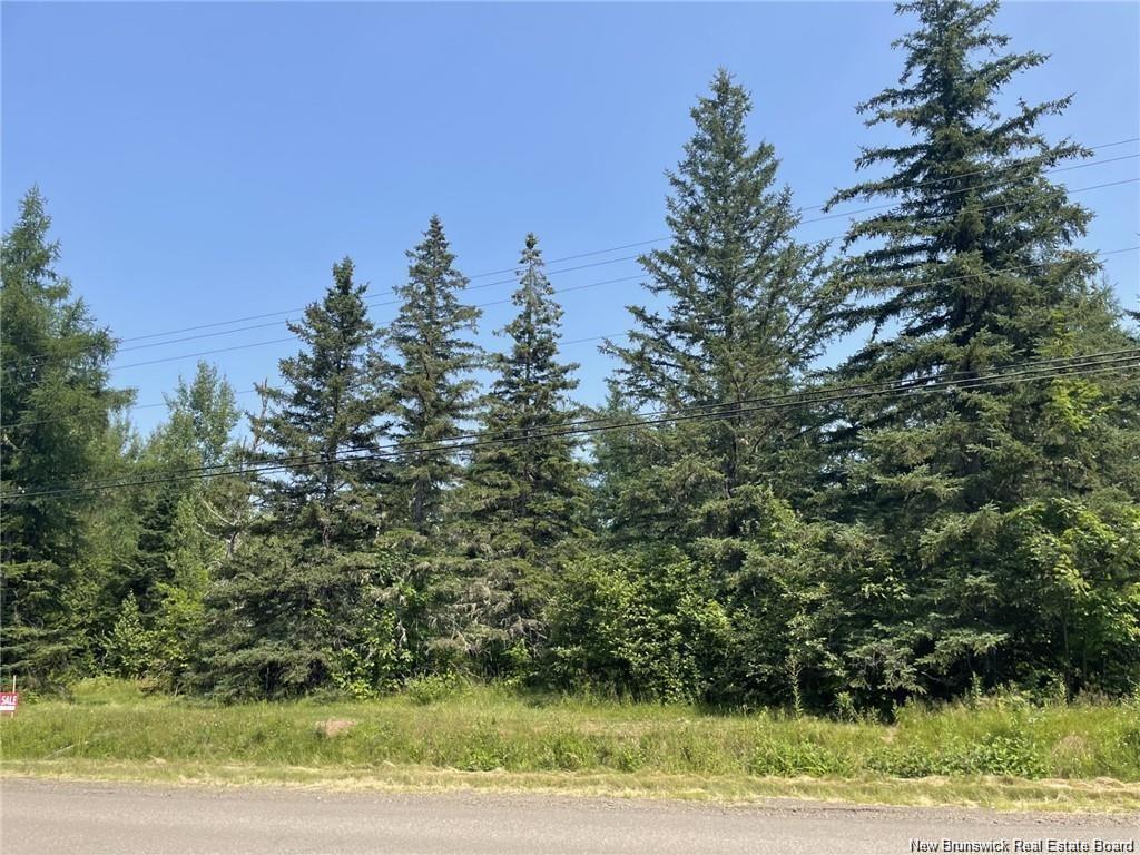 Land in Sainte-Anne-De-Kent