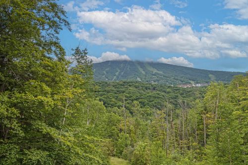 f2-F2 Cobble Rdg, Bondville, VT, 05340 | Card Image