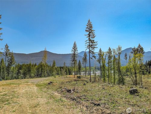 lot-a2-0 Craig Rd, Packwood, WA, 98361 | Card Image