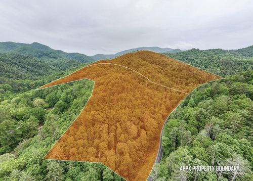 399 Shellstand Rd, Almond, NC, 28702 | Card Image