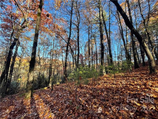4 - 9999 Sassafras Ln, Home with 0 bedrooms, 0 bathrooms and null parking in Cedar Mountain NC | Image 7