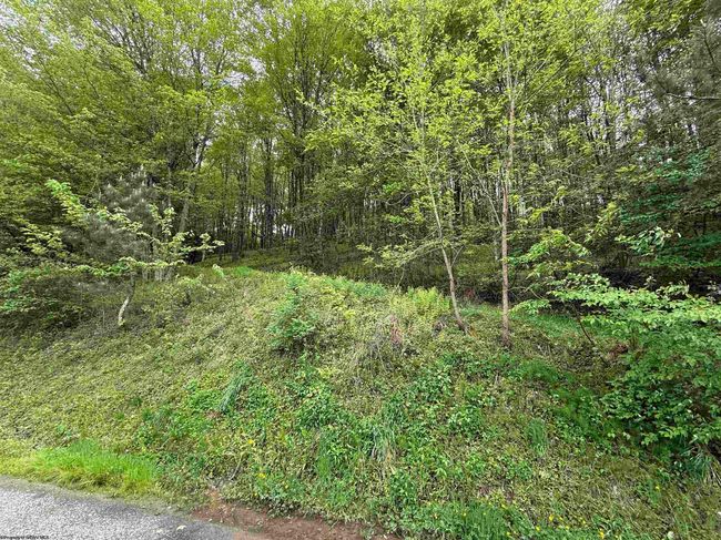 2610 Maple Spring Hwy, House other with 3 bedrooms, 3 bathrooms and 3 parking in Eglon WV | Image 27