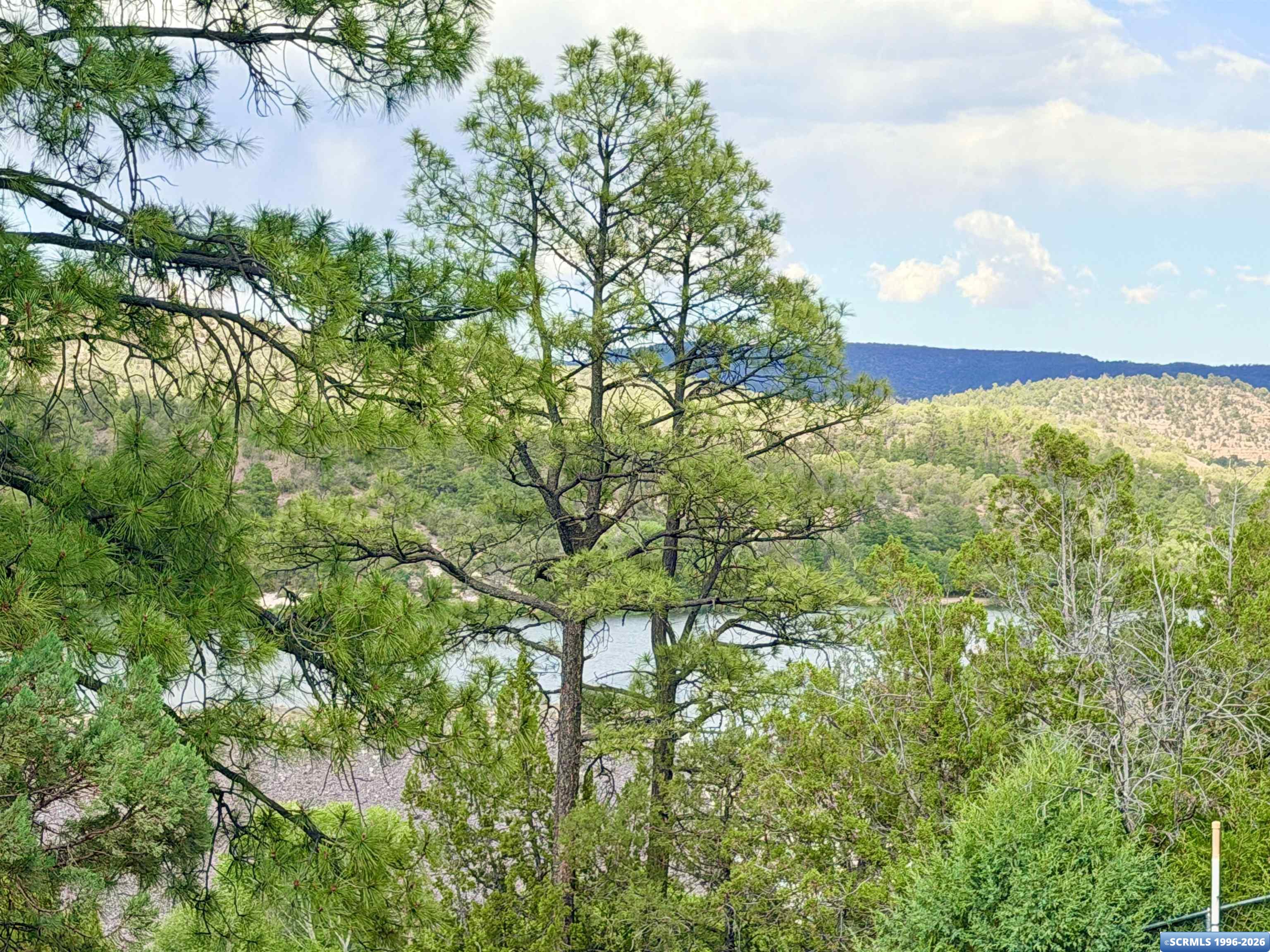 Residential in Lake Roberts 2