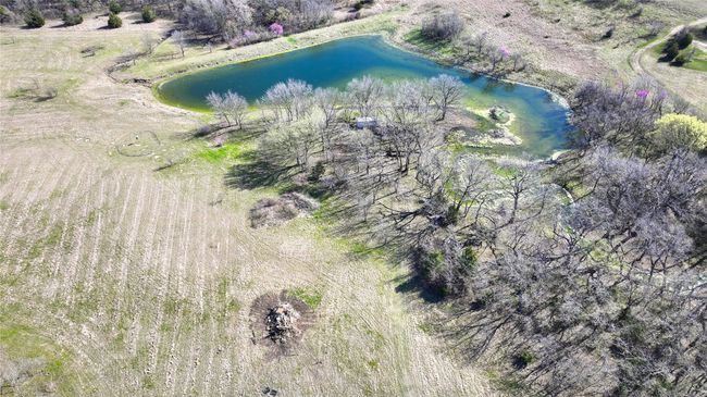 Heavily treed with pond | Image 4