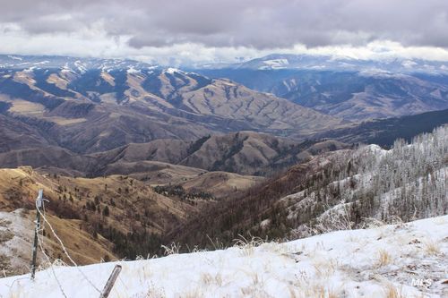 478 Deer Gulch Rd, CottonWood, ID, 83522 | Card Image