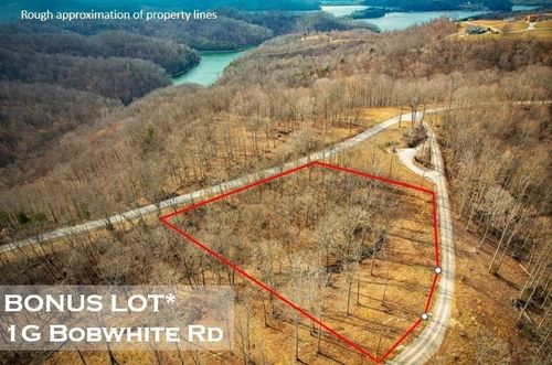1G Bobwhite, Hilham, TN, 38568 | Card Image