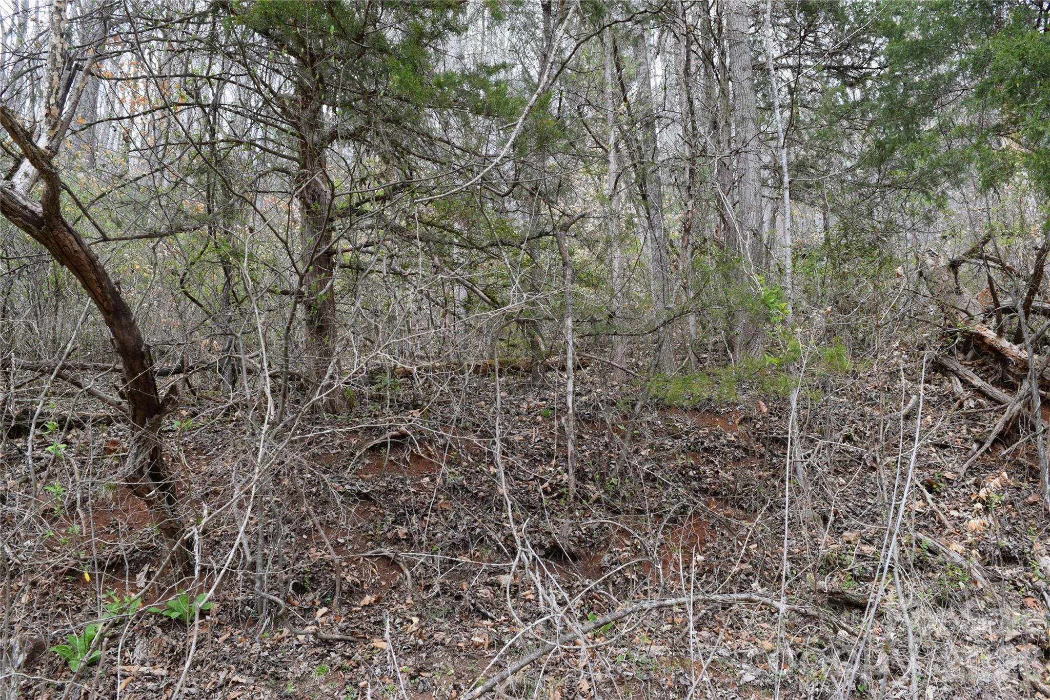 Land in Cullowhee 3
