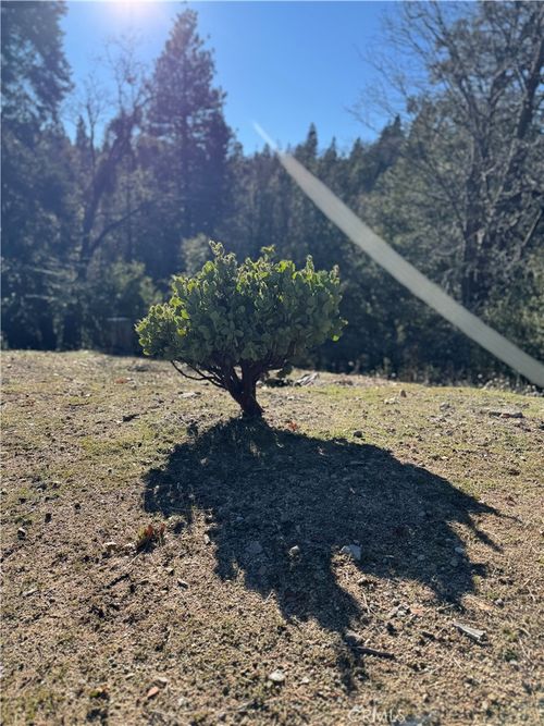 29373 Pine Dr, Cedar Glen, CA, 92321 | Card Image