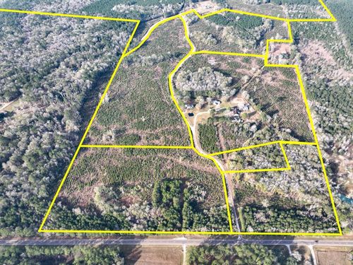 6 Tall Cotton Road, Saratoga, TX, 77585 | Card Image