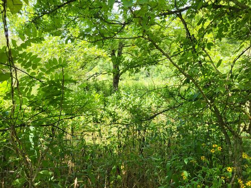 0 Felton Rd, Memphis, TN, 38128 | Card Image