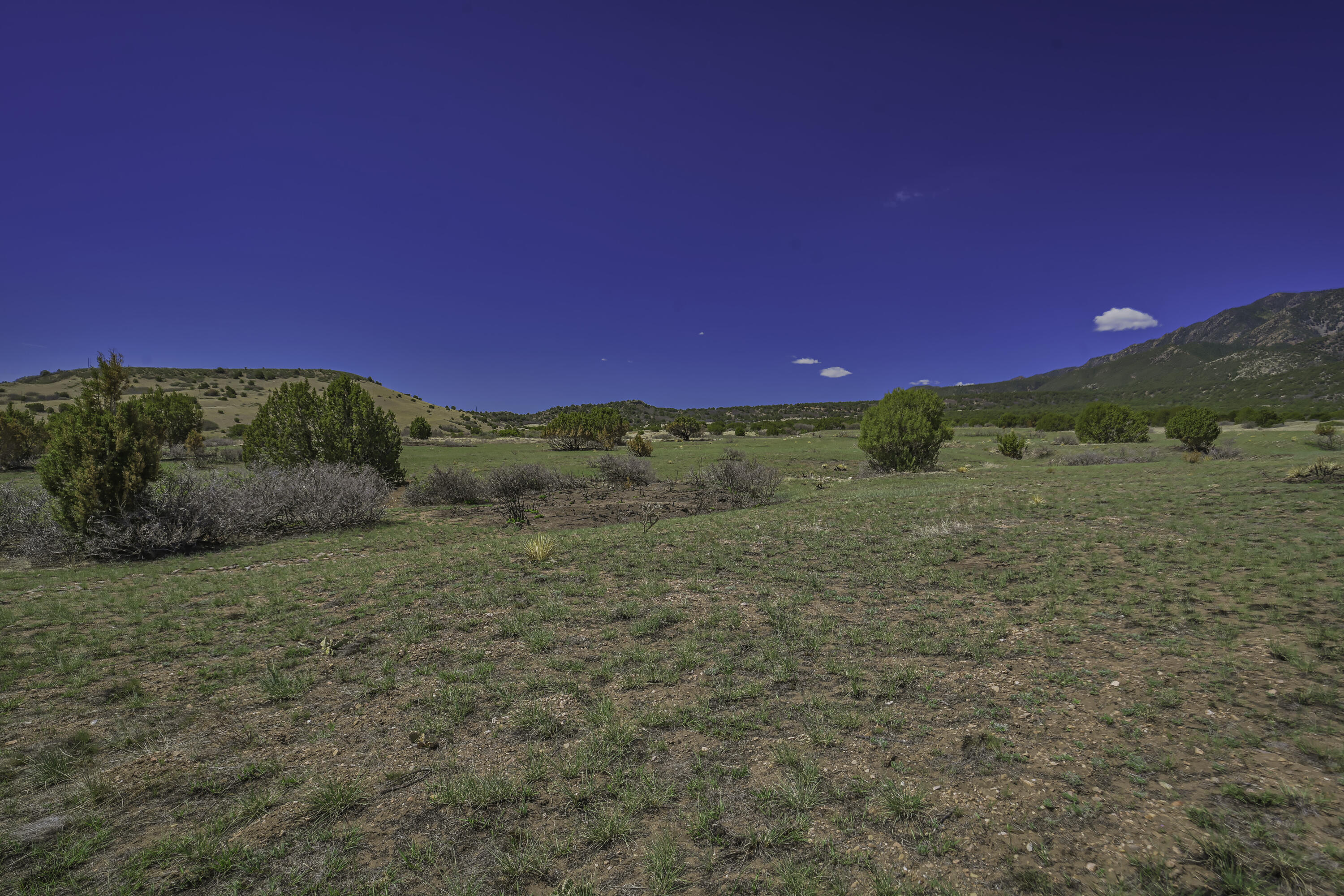 Land in Walsenburg 5