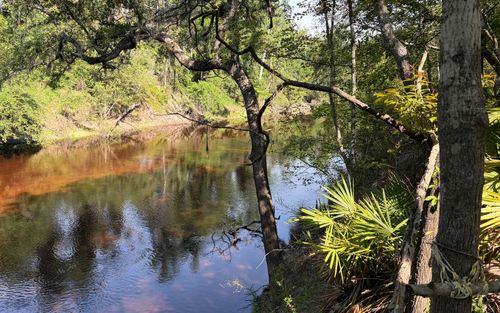 TBD Nw 79th Dr, Jasper, FL, 32052 | Card Image