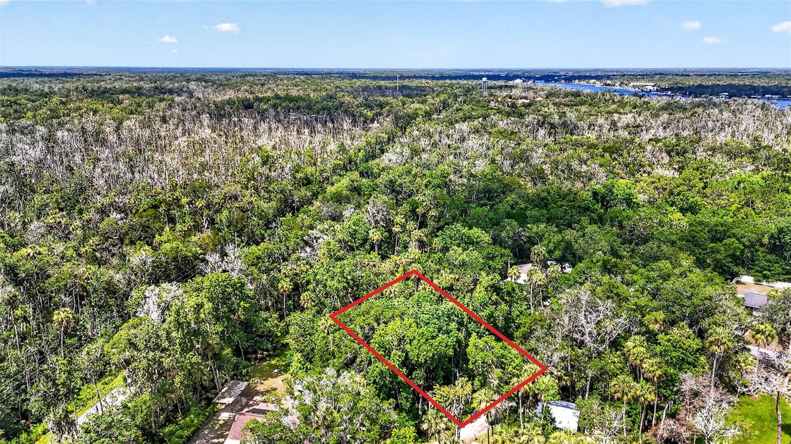 Land in HOMOSASSA
