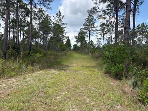 000 Viola Street, Bay St. Louis, MS, 39520 | Card Image
