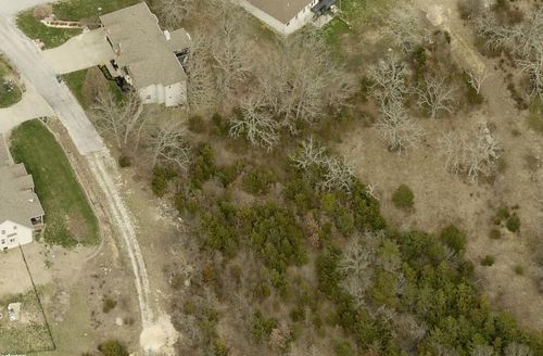 259 Jacks Hollow Rd, Walnut Shade, MO, 65771-8149 | Card Image