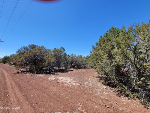 TBD Co Rd 3113, Vernon, AZ, 85940 | Card Image
