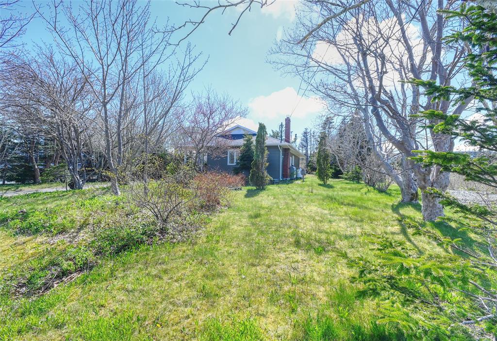 Residential in St. John's 3