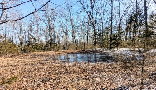 Lot 202 Forest Lake Drive, Branson West, MO, 65737 | Card Image