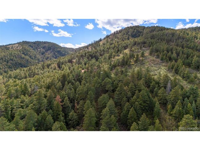 15947 S Perry Park Rd, House other with 3 bedrooms, 1 bathrooms and null parking in Palmer Lake CO | Image 11