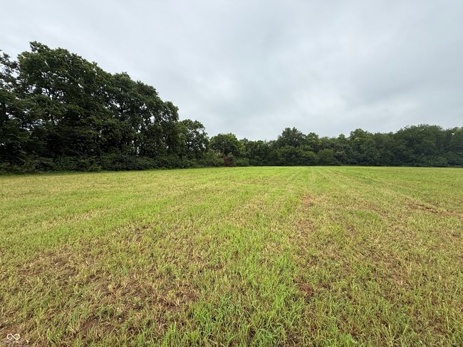 view of green lawn featuring a view of trees and a rural view | Image 7