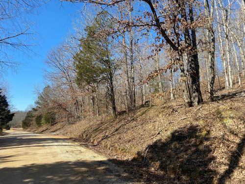 4200 E Big Richland Creek Rd, Mc Ewen, TN, 37101 | Card Image