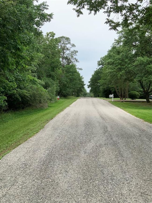 10 Idlewilde Est, Home with 0 bedrooms, 0 bathrooms and null parking in Onalaska TX | Image 4