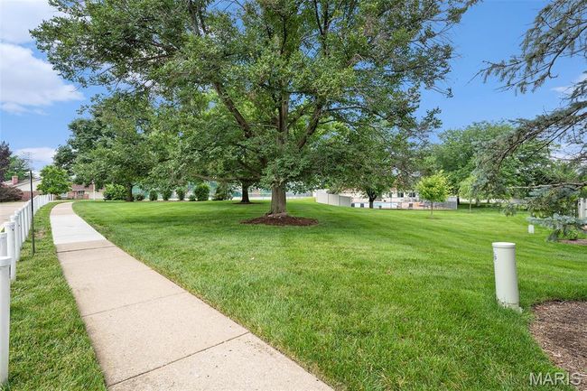View of yard | Image 23