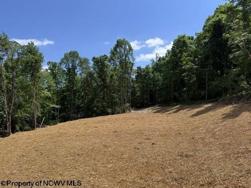 TBD River Rd, Belington, WV, 26250 | Card Image