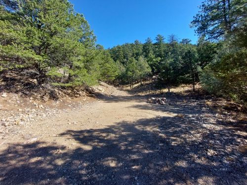 TBD 22nd Trail, Cotopaxi, CO, 81223 | Card Image