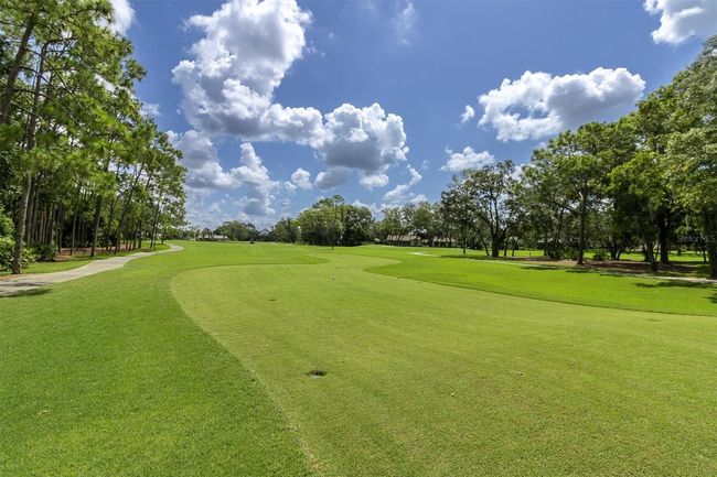 7472 Clearmeadow Dr, House other with 3 bedrooms, 2 bathrooms and null parking in SPRING HILL FL | Image 43