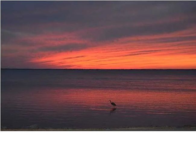 78 Regatta Dr, Home with 0 bedrooms, 0 bathrooms and null parking in Port St. Joe FL | Image 27
