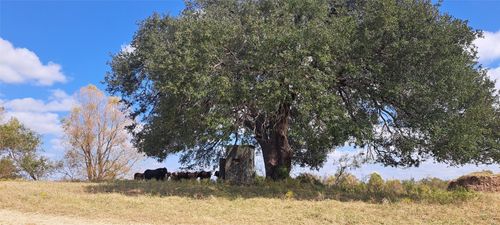 3432 County Road 206, Cameron, TX, 76520-3718 | Card Image