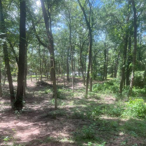 TBD Azalea Lane, Mount Vernon, TX, 75457 | Card Image