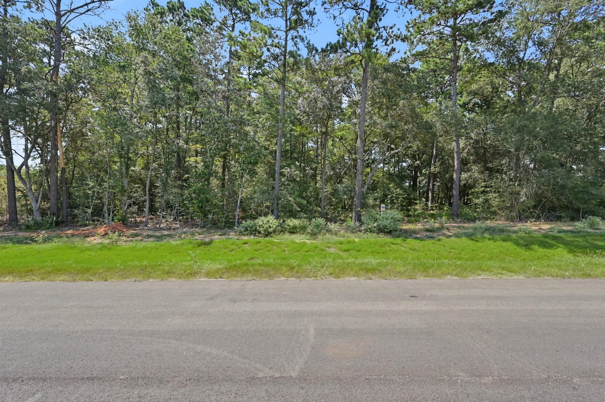 Land in Plantersville 3