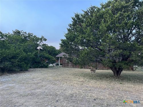 710 Inglewood Dr, Canyon Lake, TX, 78133-2577 | Card Image