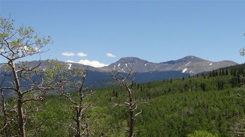 74 Forest Dr, Fairplay, CO, 80440 | Card Image