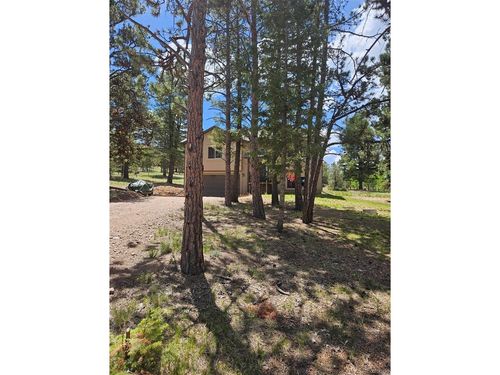 24 Big Horn Circle Cir, Florissant, CO, 80816 | Card Image
