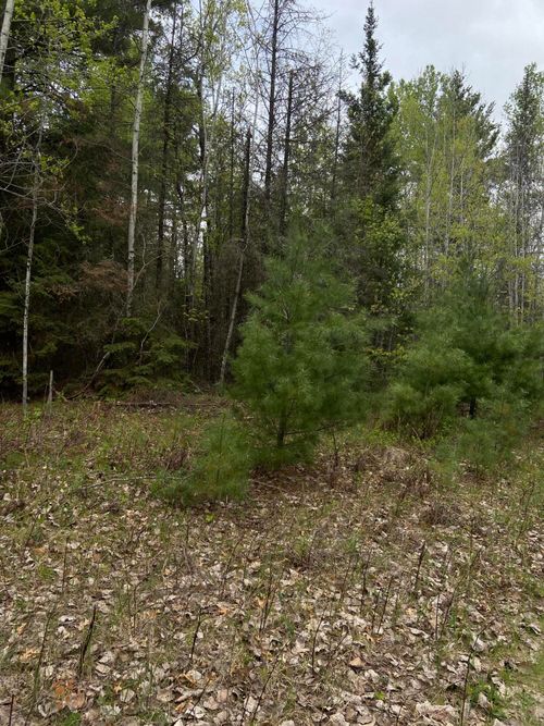 Lt0 Barker Rd, Amberg, WI, 54102 | Card Image