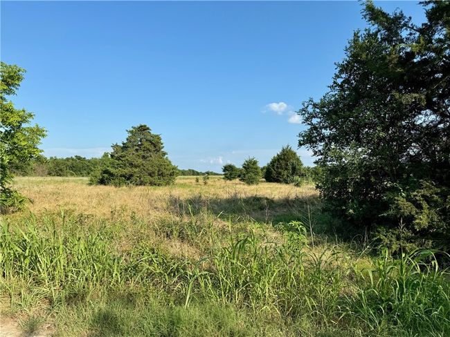 View of undeveloped land featuring rural landscape | Image 10