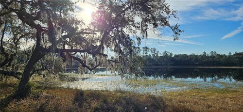 Lot 1 - 10.05ac E Hwy 318, CITRA, FL, 32113 | Card Image