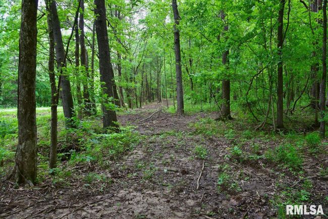 002 Battleford Rd, Home with 0 bedrooms, 0 bathrooms and null parking in Stonefort IL | Image 4