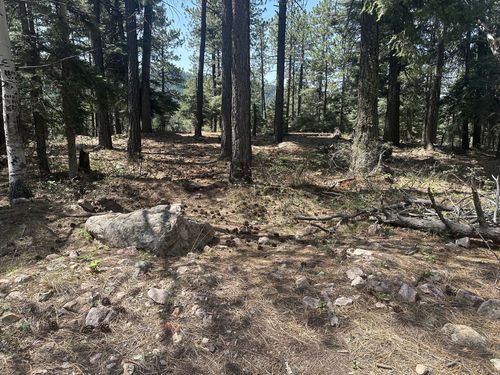 1-0 Hwy, Chama, NM, 87520 | Card Image
