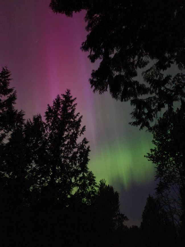 View of nature at dusk | Image 23
