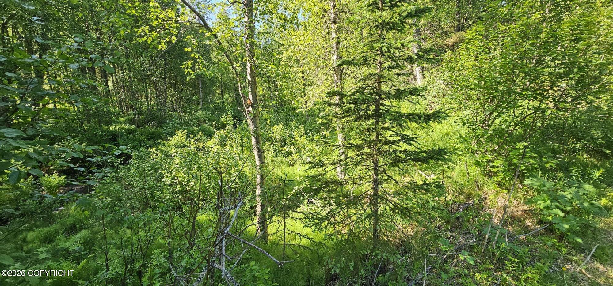 Land in Eagle River 5