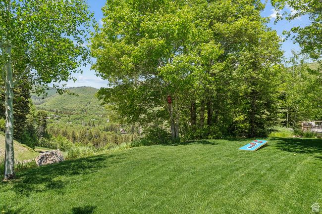 View of green lawn | Image 54