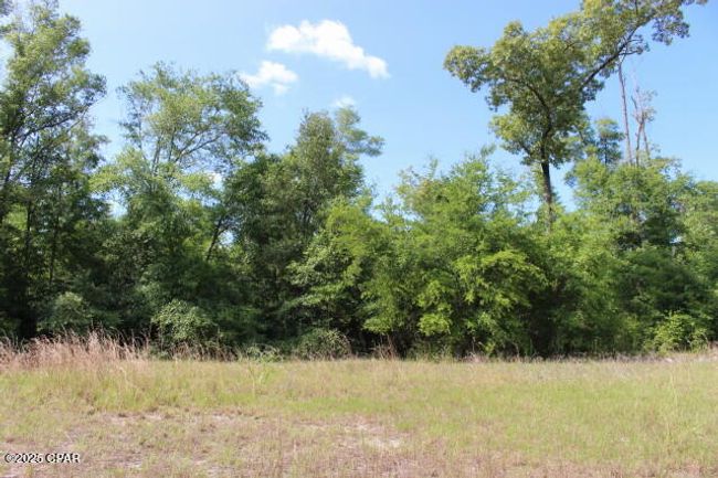 5929 Nichols Rd, House other with 3 bedrooms, 2 bathrooms and null parking in Bascom FL | Image 15