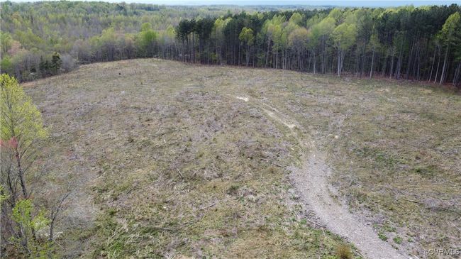 27.35 Acres Prince Edward Highway, Home with 0 bedrooms, 0 bathrooms and null parking in RICE VA | Image 8