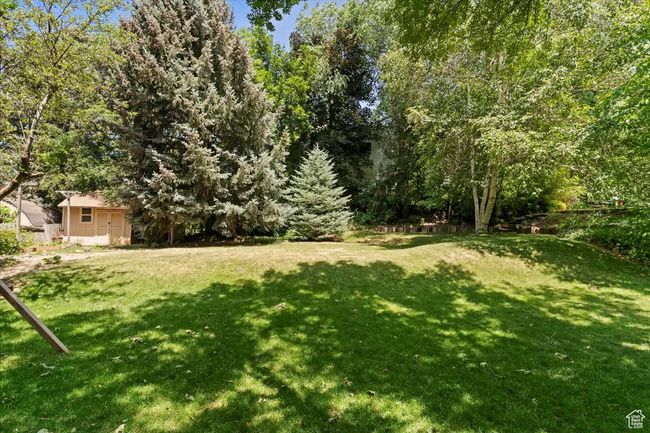 View of green lawn | Image 65